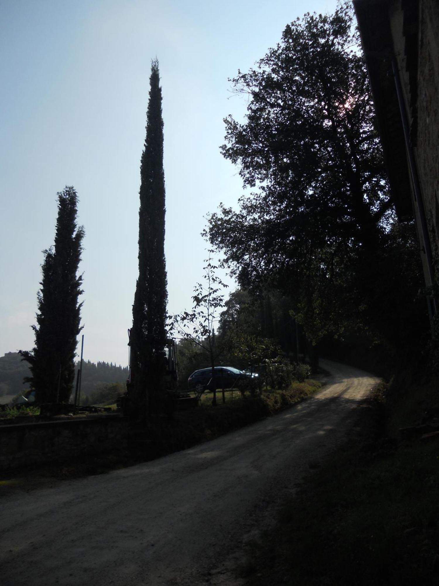 Tenuta Il Tresto Поджибонси Экстерьер фото