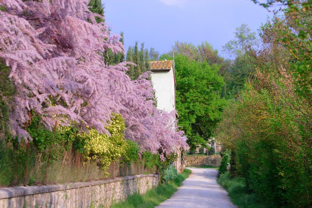 Tenuta Il Tresto Поджибонси Экстерьер фото