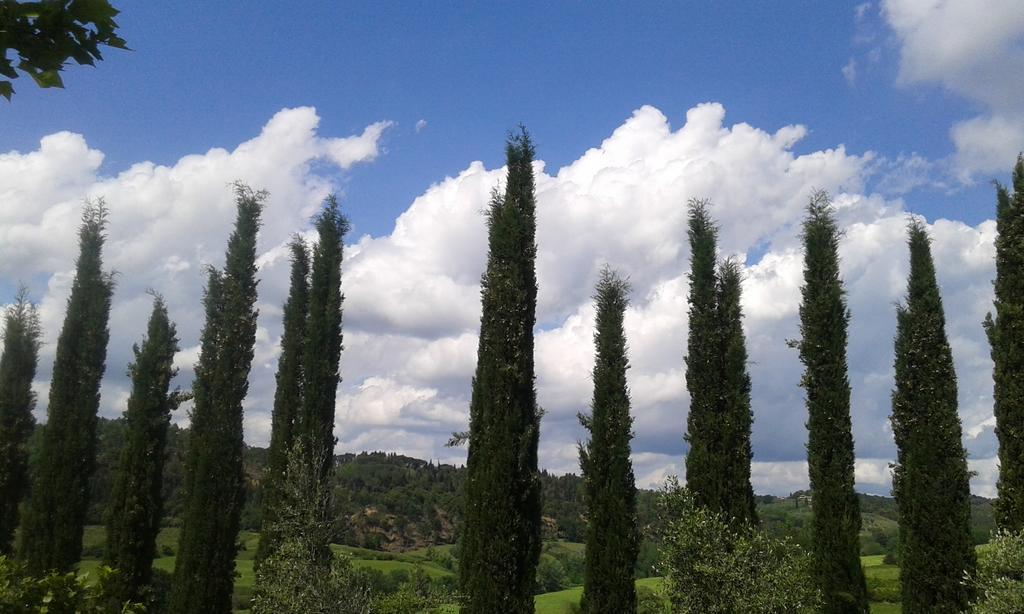 Tenuta Il Tresto Поджибонси Экстерьер фото